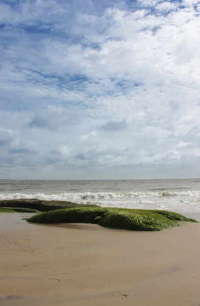 Lonely Beach Stenar Med Tång Rocha Tillstånd Norra Uruguay — Stockfoto