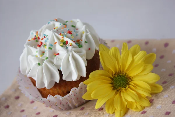 컵케이크 — 스톡 사진