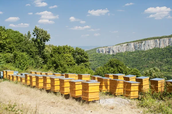 Beehives — Stockfoto