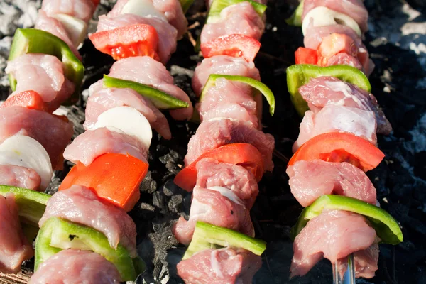 Barbecue with raw meat skewers — Stock Photo, Image