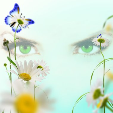 Green eves on blue background with white daisywheels and butterfly clipart