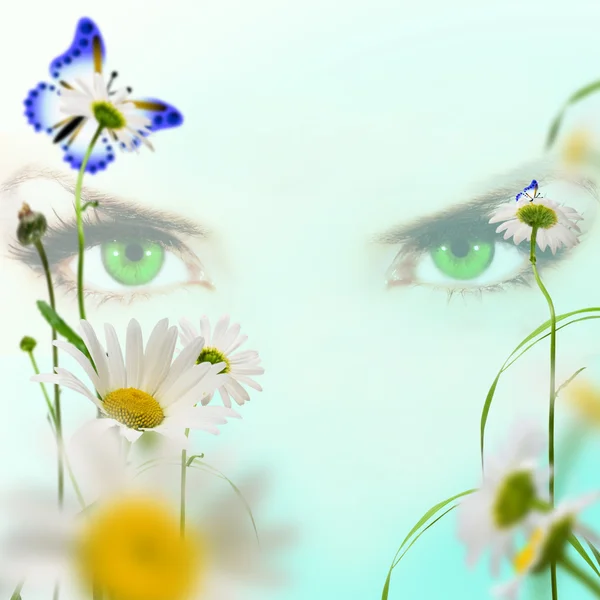 Beyaz Daisywheels Kelebek Mavi Zemin Üzerine Yeşil Eves — Stok fotoğraf
