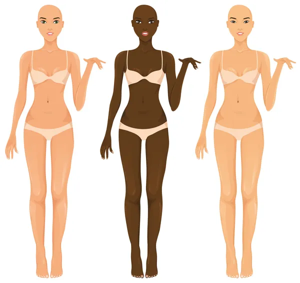Жіноче тіло — стоковий вектор