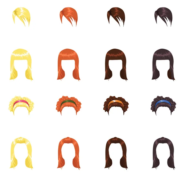 Female hair — Stock Vector