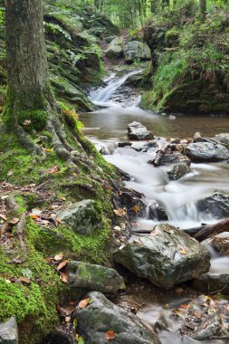 Autumn stream clipart