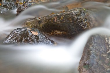 Rocks floating in river rapid clipart