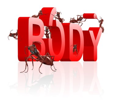 Body building fitness in gym clipart
