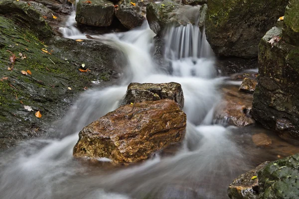 stock image Rock in middle of stream rapid