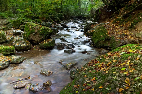 stock image Autumn stream