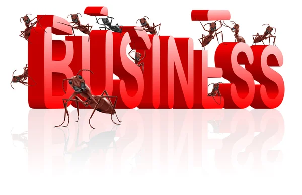 Mrówka biznes — Zdjęcie stockowe
