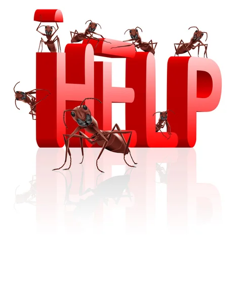 Aiuto alla costruzione di formiche — Foto Stock