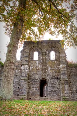 villers la ville Belçika Manastırı Harabeleri