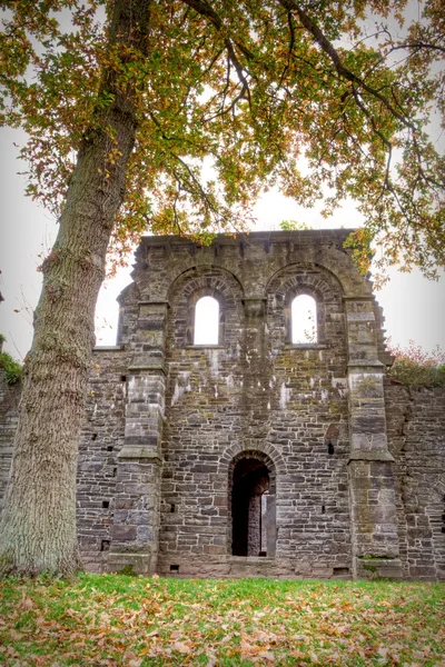 Abbey Ruins Villers Ville Belgium — Stock Photo, Image