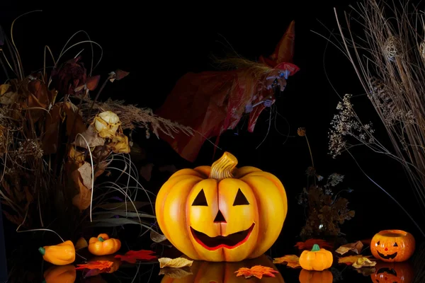 Halloween pompoen met heks. — Stockfoto