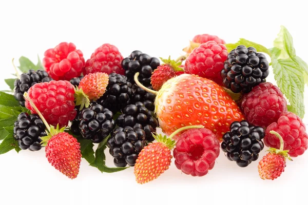 Berries. — Stock Photo, Image