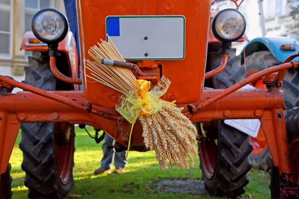 Starý červený traktor s ušima, pšenice. — Stock fotografie
