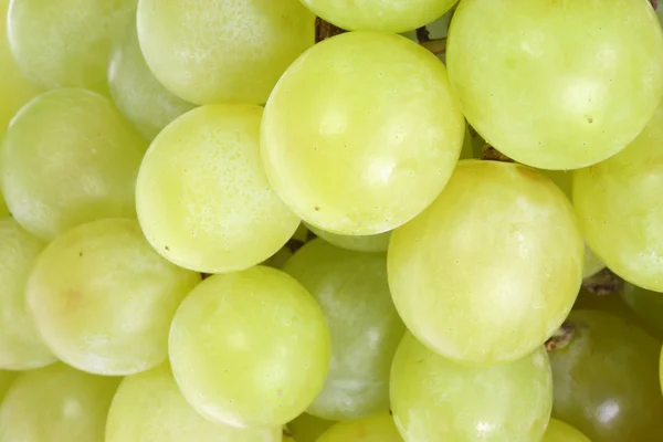 Зеленый виноград . — стоковое фото