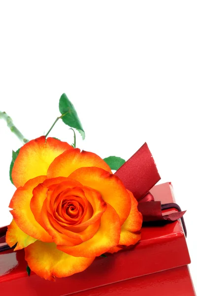 Κίτρινο Κόκκινο Τριαντάφυλλο Και Κόκκινο Δώρο Πλαίσιο — Φωτογραφία Αρχείου