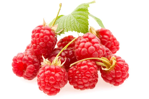 Ripe raspberries. Stock Image