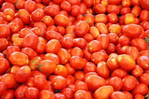 Färska tomater. — Stockfoto