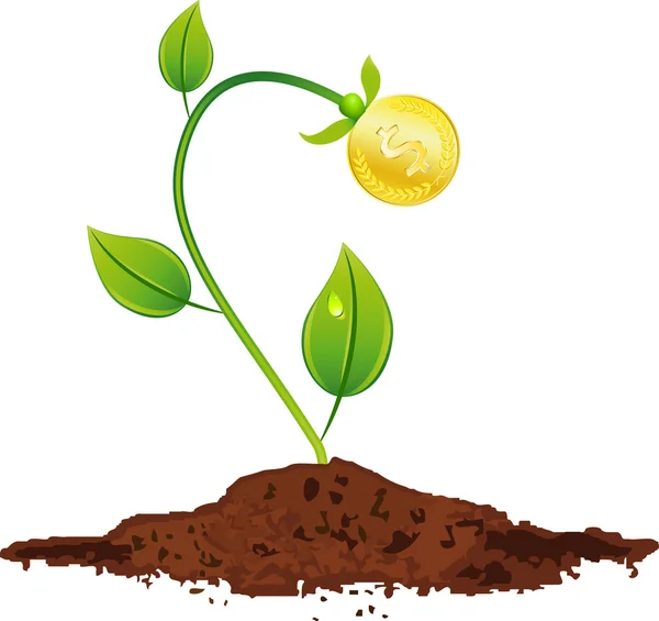 Altın sikke ile genç bitki — Stok Vektör