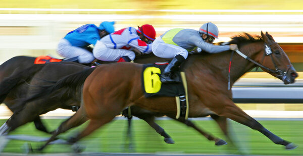 Storming Down the Homestretcj