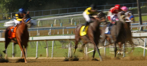 Rörelseoskärpa Racing Jockeys Och Hästar — Stockfoto