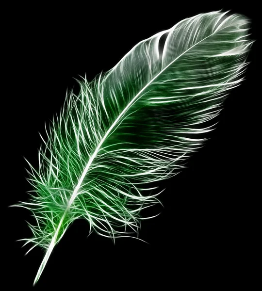 Feather/spring — Stock Photo, Image