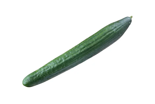 Cucumper — стокове фото
