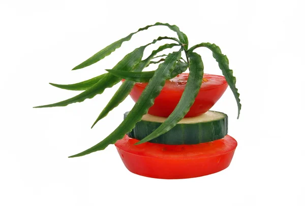 Tomaten mit Gurken — Stockfoto
