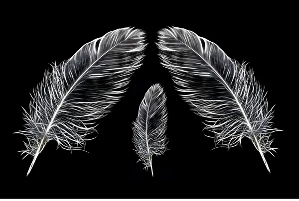Φτερών/άνοιξη — Φωτογραφία Αρχείου