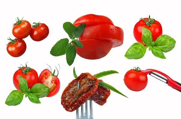 Tomates Subsolo Branco Liberado — Fotografia de Stock