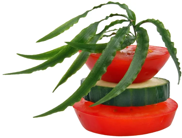 Tomates Subsolo Branco Liberado — Fotografia de Stock