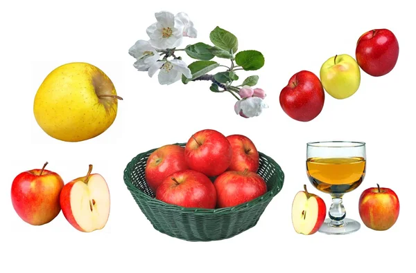 Vruchten-apple — Stockfoto