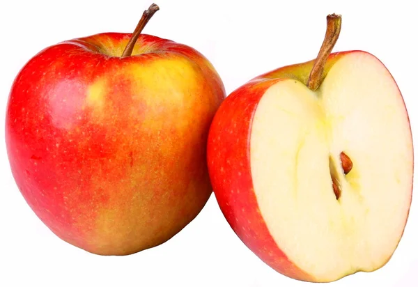 Плодів яблук — стокове фото