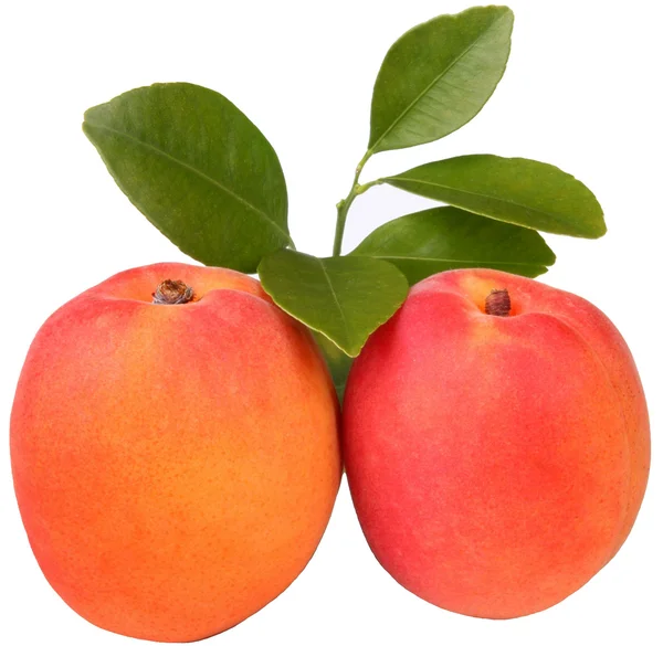 Fruits-Apricots — Stock Photo, Image