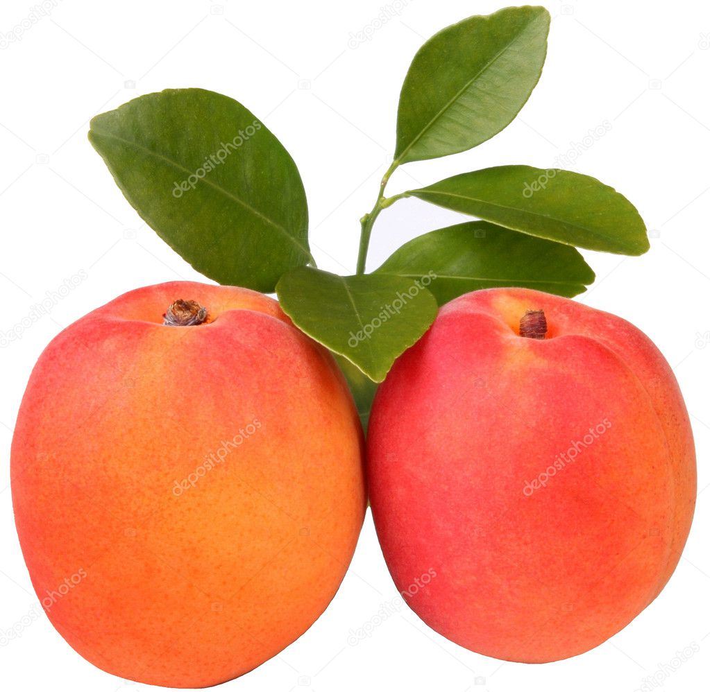 Fruits-Apricots