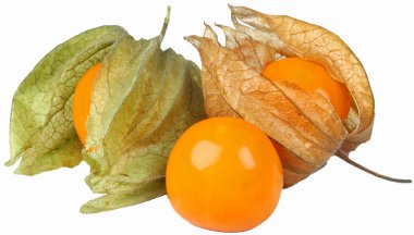 Beyaz arka planda physalis