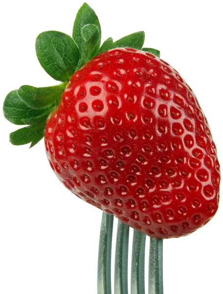 Früchte-Erdbeere — Stockfoto