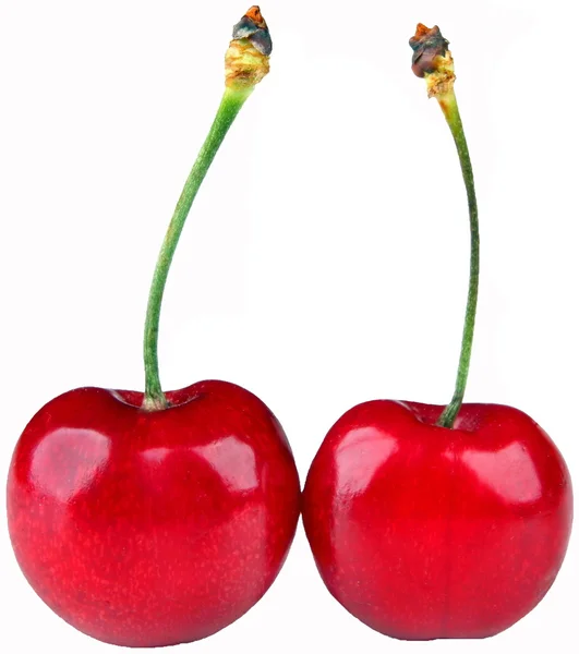 Wiśnie i czereśnie owoców — Zdjęcie stockowe