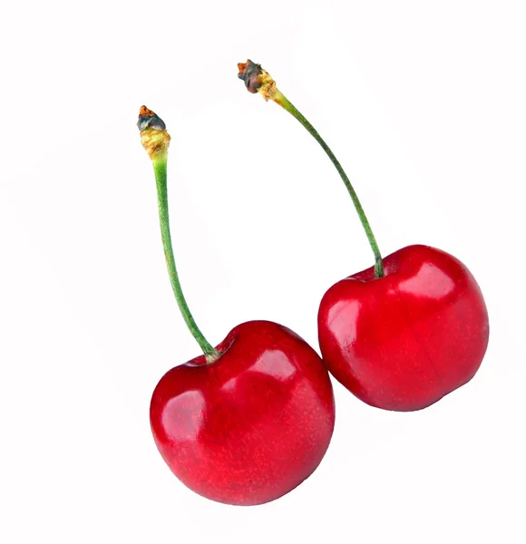Cherries White Background — Stock Photo, Image