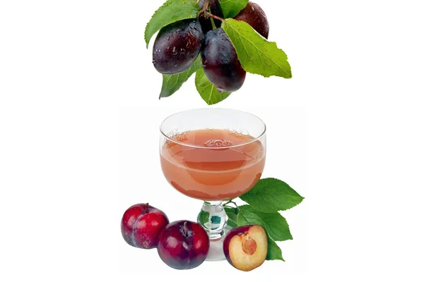 Vruchten-pruimen — Stockfoto