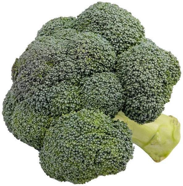 Gemüse-Brokkoli — Stockfoto