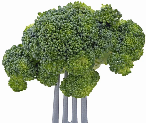 Zöldség-brokkoli — Stock Fotó