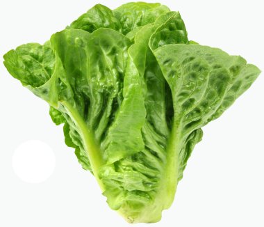 Beyaz anderground dağıtılmaktadır salataya