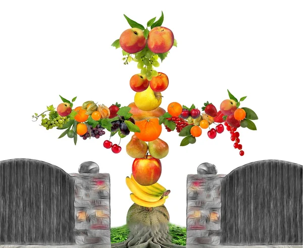 水果释放白色背景 — 图库照片