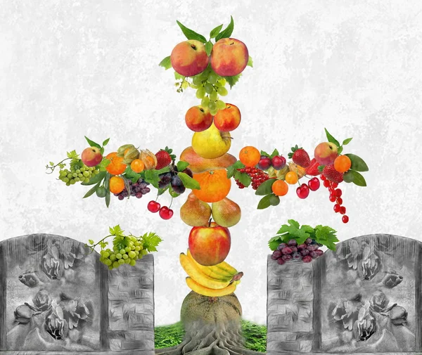 Frucht Löste Einen Texturierten Hintergrund Aus — Stockfoto