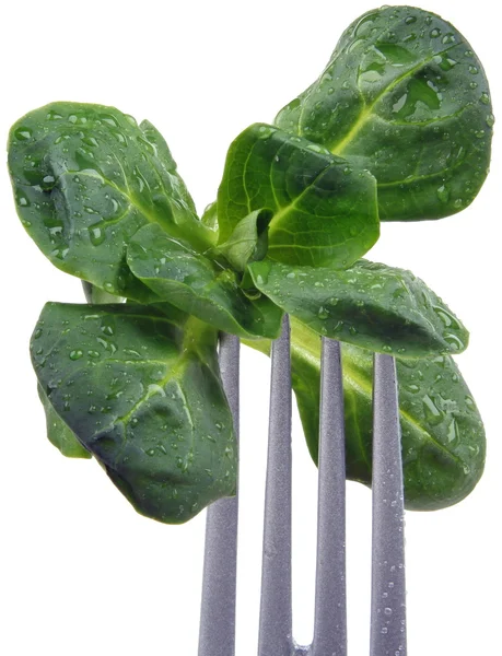 Salată-legume — Fotografie, imagine de stoc