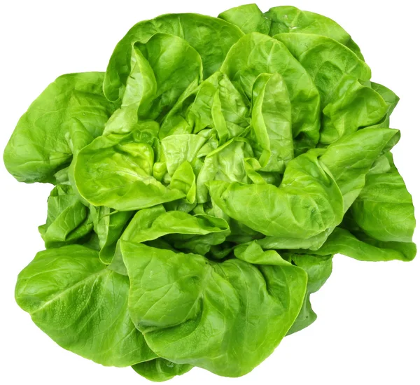 Салат-овощ — стоковое фото