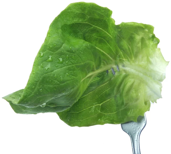 Salad-Vegetables — Stock Photo, Image